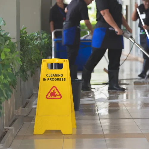 Cleaning, Cleaning Products and Hygiene Supplies